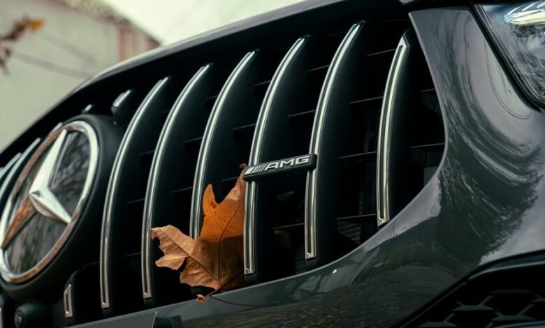 check hanime site status