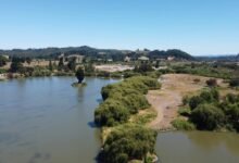 gala bingo status update