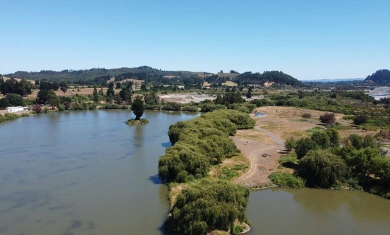 gala bingo status update