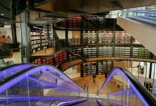 infohub organization functionality explained