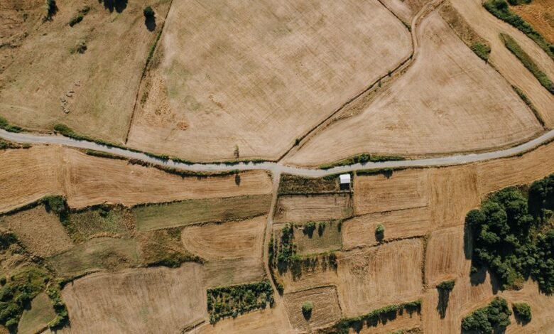 ivfree asia overview details