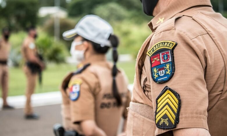 search authority rankings network