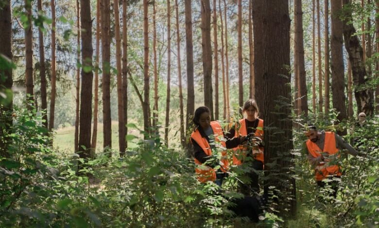 search blueprint for visibility