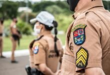 search rankings authority path