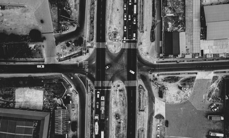 search traffic growth network