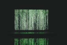 search traffic visibility analysis